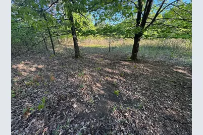 3824 County Hwy E, Warrens,warrens, WI 54666 - Photo 69