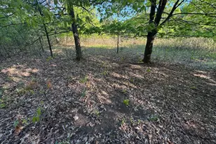 3824 County Hwy E, Warrens,warrens, WI 54666 - Photo 69