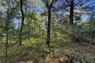 3824 County Hwy E, Warrens,warrens, WI 54666 - Photo 67