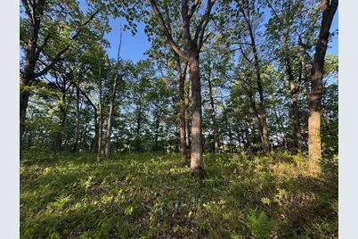 3824 County Hwy E, Warrens,warrens, WI 54666 - Photo 55