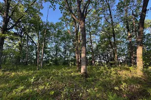 3824 County Hwy E, Warrens,warrens, WI 54666 - Photo 55