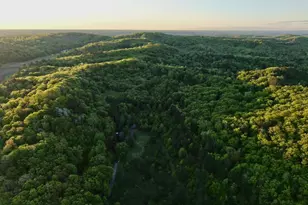 3824 County Hwy E, Warrens,warrens, WI 54666 - Photo 43