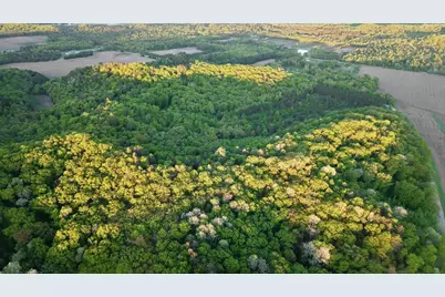 3824 County Hwy E, Warrens,warrens, WI 54666 - Photo 39