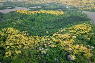 3824 County Hwy E, Warrens,warrens, WI 54666 - Photo 39