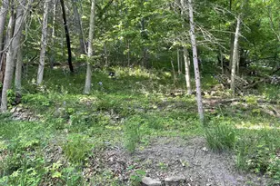 W10728 Tipperary Rd, Poynette, WI 53955 - Photo 19