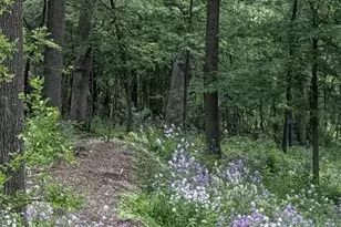 225 Whitetail Ln, Deerfield, WI 53531 - Photo 35