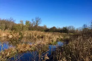 225 Whitetail Ln, Deerfield, WI 53531 - Photo 49