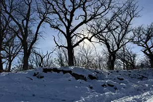 225 Whitetail Ln, Deerfield, WI 53531 - Photo 19