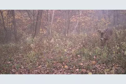 58877 Sudden Valley View Drive, Eastman, WI 54626 - Photo 33