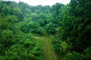 58877 Sudden Valley View Dr, Eastman, WI 54626 - Photo 5