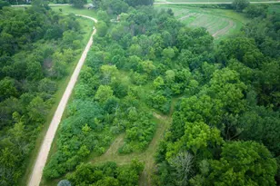 58877 Sudden Valley View Dr, Eastman, WI 54626 - Photo 3