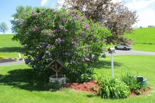 30694 County Rd W, Elroy, WI 53929 - Photo 73