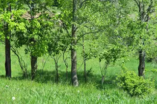 30694 County Rd W, Elroy, WI 53929 - Photo 75