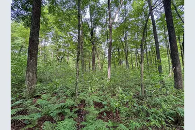 000 US Highway 12, Tomah, WI 54660 - Photo 17