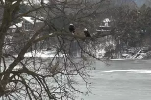 E12261 Timber Rdg Trl, Prairie Du Sac, WI 53578 - Photo 63