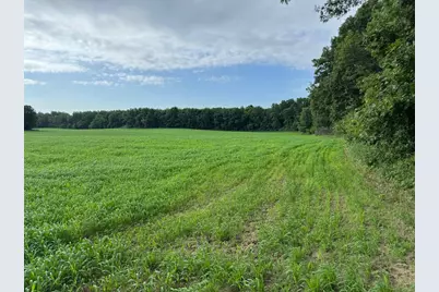 80.68 Acres Fox Hill Road, Baraboo, WI 53913 - Photo 7