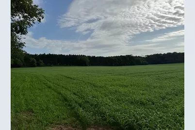 80.68 Acres Fox Hill Road, Baraboo, WI 53913 - Photo 5