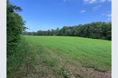 80.68 Acres Fox Hill Road, Baraboo, WI 53913 - Photo 9