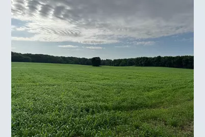 80.68 Acres Fox Hill Road, Baraboo, WI 53913 - Photo 3