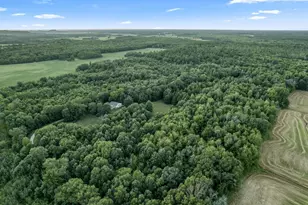 W8325 Larson Ln, New Lisbon, WI 53950 - Photo 3