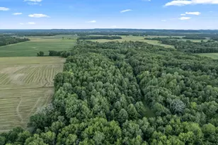 W8325 Larson Ln, New Lisbon, WI 53950 - Photo 31