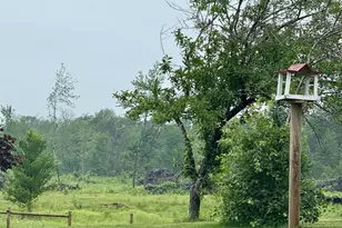 33486 Driftwood Ave, Warrens,warrens, WI 54666 - Photo 53