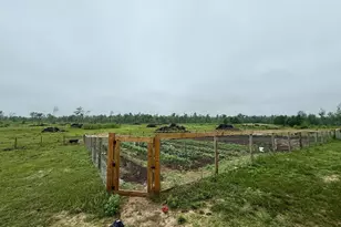 33486 Driftwood Ave, Warrens,warrens, WI 54666 - Photo 51