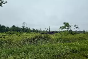 33486 Driftwood Ave, Warrens,warrens, WI 54666 - Photo 57