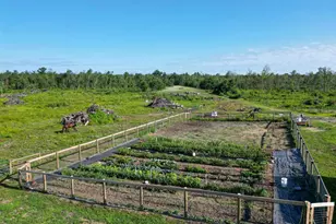 33486 Driftwood Ave, Warrens,warrens, WI 54666 - Photo 65