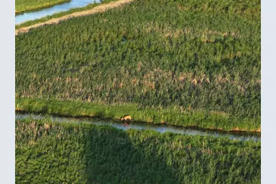 80 M/L Acres Jordan Road, Waterloo, WI 53594 - Photo 49