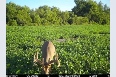 80 M/L Acres Jordan Road, Waterloo, WI 53594 - Photo 75