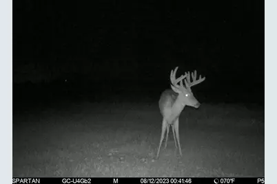 80 M/L Acres Jordan Road, Waterloo, WI 53594 - Photo 79