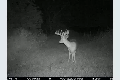 80 M/L Acres Jordan Road, Waterloo, WI 53594 - Photo 81