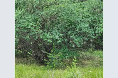 2284 15th Drive, Friendship, WI 53934 - Photo 17