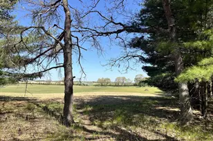 249 Dyke Ave, Grand Marsh, WI 53936 - Photo 71