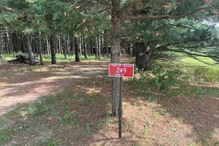 249 Dyke Ave, Grand Marsh, WI 53936 - Photo 19