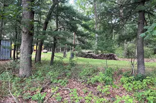 249 Dyke Ave, Grand Marsh, WI 53936 - Photo 49