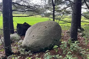 249 Dyke Ave, Grand Marsh, WI 53936 - Photo 45