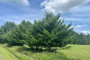 249 Dyke Ave, Grand Marsh, WI 53936 - Photo 23