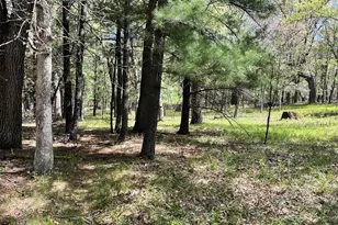 249 Dyke Ave, Grand Marsh, WI 53936 - Photo 69