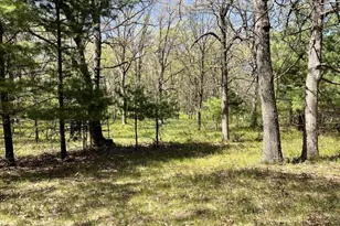 249 Dyke Ave, Grand Marsh, WI 53936 - Photo 67