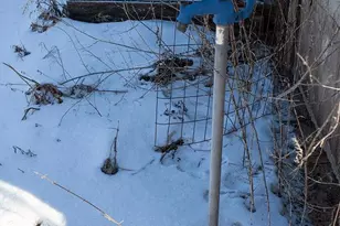 311 Hwy 21, Friendship, WI 53934 - Photo 15