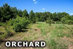 311 Hwy 21, Friendship, WI 53934 - Photo 57