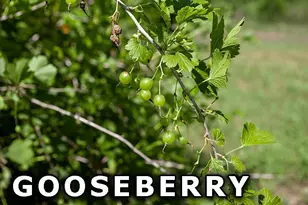 311 Hwy 21, Friendship, WI 53934 - Photo 63