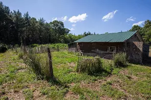 311 Hwy 21, Friendship, WI 53934 - Photo 41