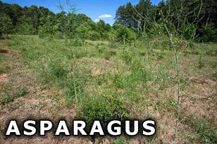 311 Hwy 21, Friendship, WI 53934 - Photo 59