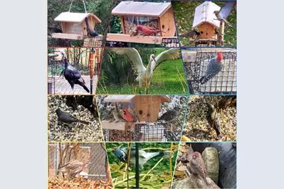 3117 Todd Drive, Madison, WI 53713 - Photo 41