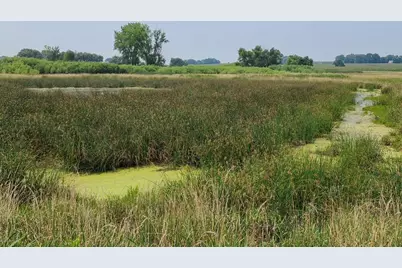 4923 Meek Road, Arlington, WI 53911 - Photo 43