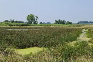 4923 Meek Rd, Arlington, WI 53911 - Photo 43