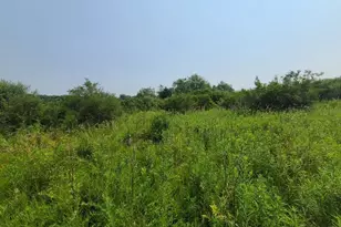 4923 Meek Rd, Arlington, WI 53911 - Photo 41